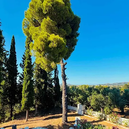 Appartement Casa Angelina Laganas